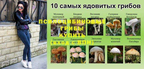 соль ск Арсеньев