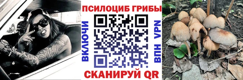Галлюциногенные грибы Psilocybine cubensis  OMG рабочий сайт  Арск  цена  
